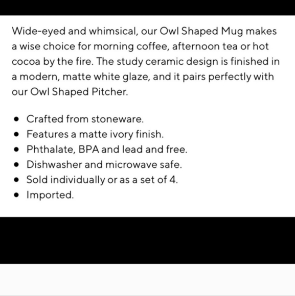 Pottery Barn Owl Mugs Set of 2 - Picture 3 of 16